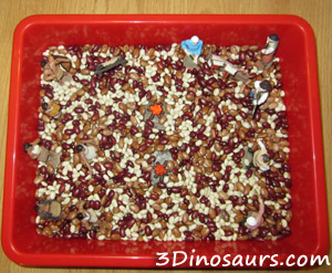 Thanksgiving Sensory Bin