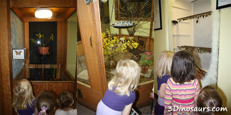 Hatching Area