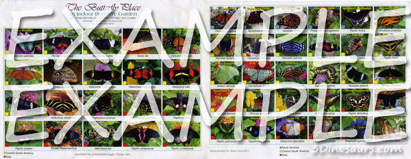 Butterfly mat