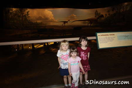 Dinosaur State Park