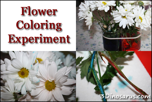 Flower Coloring Experiment