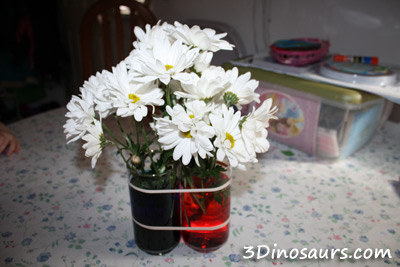 Flower Coloring Experiment