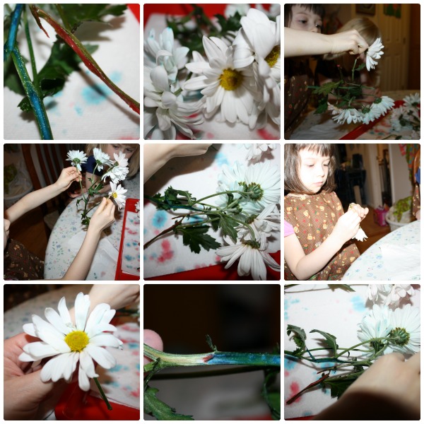 Flower Coloring Experiment