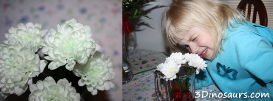 Coloring Flowers