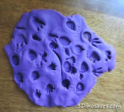 Dinosaur Tracks