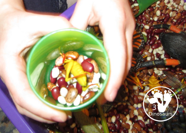 Bug Sensory Bin - a simple sensory bin with beans for the filler and random bugs in the sensory bin. It is easy to set up and use with kids in kindergarten and prek. 3Dinosaurs.com