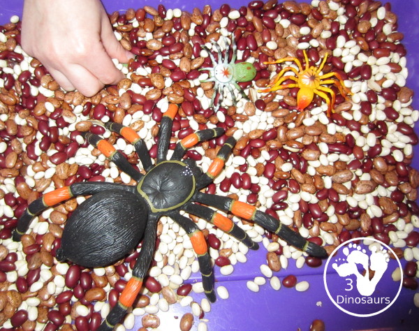 Bug Sensory Bin - a simple sensory bin with beans for the filler and random bugs in the sensory bin. It is easy to set up and use with kids in kindergarten and prek. 3Dinosaurs.com