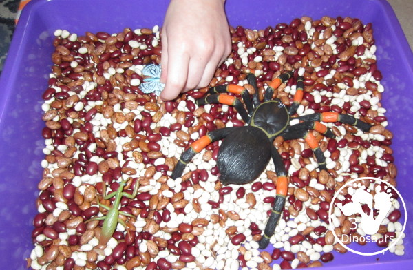 Bug Sensory Bin - a simple sensory bin with beans for the filler and random bugs in the sensory bin. It is easy to set up and use with kids in kindergarten and prek. 3Dinosaurs.com