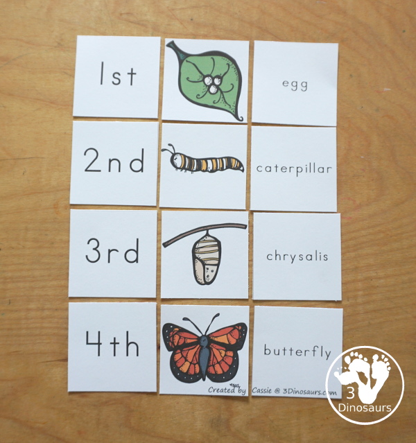 Free Life Cycle of a Butterfly Pack - a 70 page prek and kindergarten and 32 page tot and preschool pack with load of life cycle of butterfly for monarch with different pictures and activities around butterflies - 3Dinosaurs.com