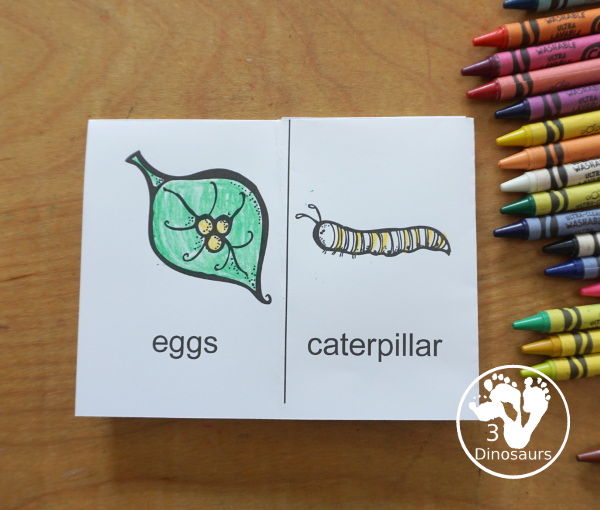 Free Life Cycle of a Butterfly Pack - a 70 page prek and kindergarten and 32 page tot and preschool pack with load of life cycle of butterfly for monarch with different pictures and activities around butterflies - 3Dinosaurs.com