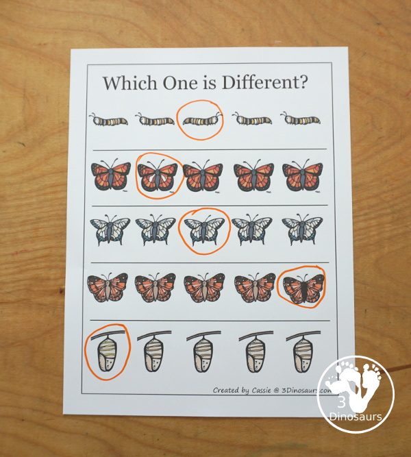 Free Life Cycle of a Butterfly Pack - a 70 page prek and kindergarten and 32 page tot and preschool pack with load of life cycle of butterfly for monarch with different pictures and activities around butterflies - 3Dinosaurs.com