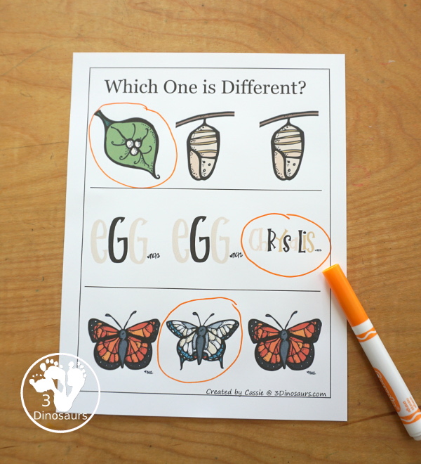 Free Life Cycle of a Butterfly Pack - a 70 page prek and kindergarten and 32 page tot and preschool pack with load of life cycle of butterfly for monarch with different pictures and activities around butterflies - 3Dinosaurs.com