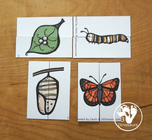 Free Life Cycle of a Butterfly Pack - a 70 page prek and kindergarten and 32 page tot and preschool pack with load of life cycle of butterfly for monarch with different pictures and activities around butterflies - 3Dinosaurs.com