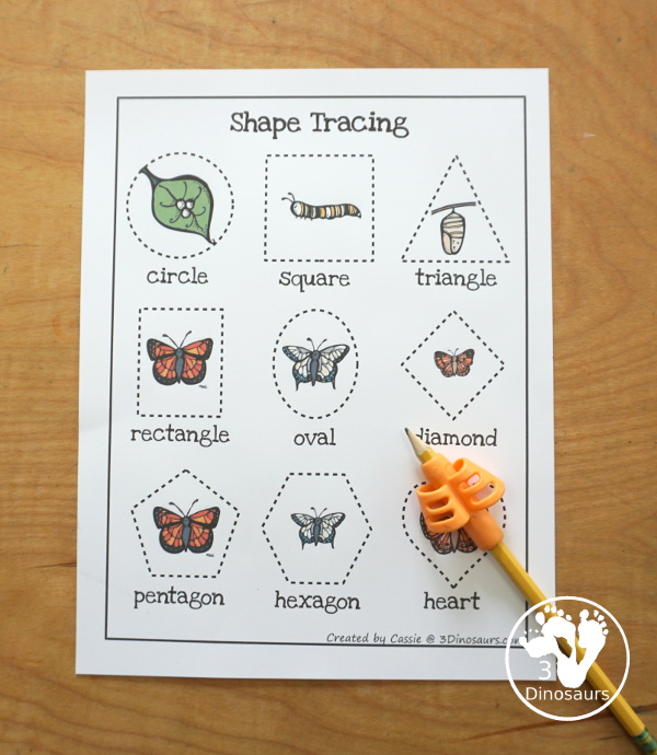 Free Life Cycle of a Butterfly Pack - a 70 page prek and kindergarten and 32 page tot and preschool pack with load of life cycle of butterfly for monarch with different pictures and activities around butterflies - 3Dinosaurs.com