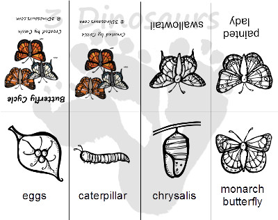 Bug Pack: Life Cycle of a Butterfly Early Reader Printable