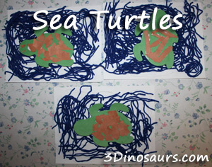 Sea Turtle