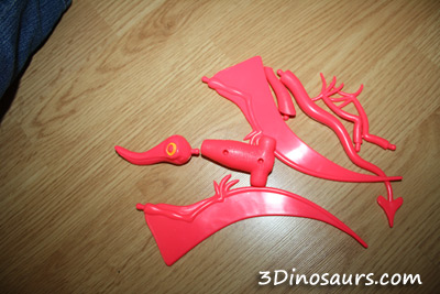 Zoomorphs