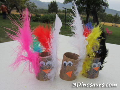 Peacock supplies