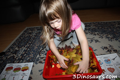 Fall Sensory Bin