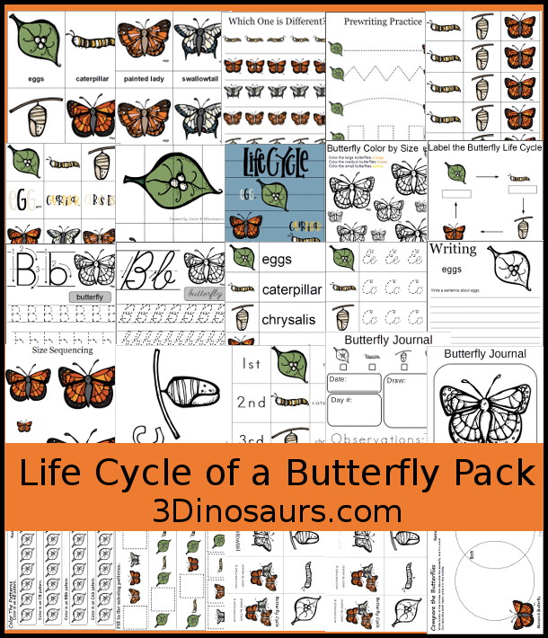 Free Life Cycle of a Butterfly Pack - 3Dinosaurs.com