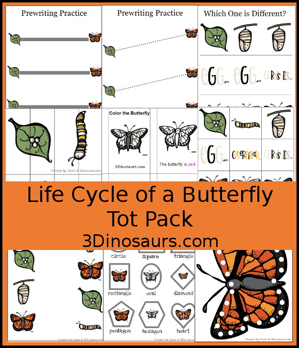 Free Life Cycle of a Butterfly Pack - 3Dinosaurs.com