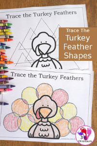 Turkey Feather Shape Tracing