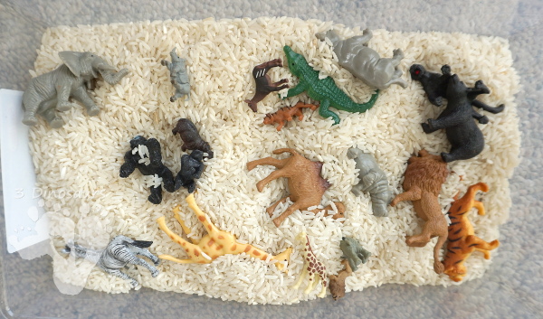 Zoo Theme Rice Sensory Bin - an easy to put together sensory bin that kids can use. - 3Dinosaurs.com