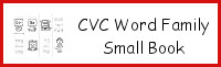 CVC Word Family Small Books